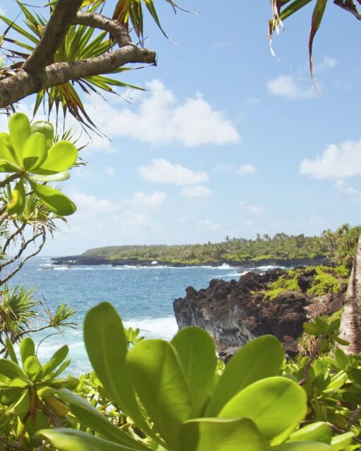 Say "Aloha Hawaii" on this relaxing journey from Collette. Drift down the serene Wailua River, explore the breathtaking Waimea Canyon, and immerse yourself in the history and heritage of the Iao Valley. Enjoy luxurious stays at premier resorts on Kauai and Maui, where you can relax on pristine beaches or embark on thrilling adventures.This is the Hawaii of your dreams — contact me today at Hello@Time2Board.com to learn more about this incredible guided tour from Collette!#Time2BoardTravel #Time2Board