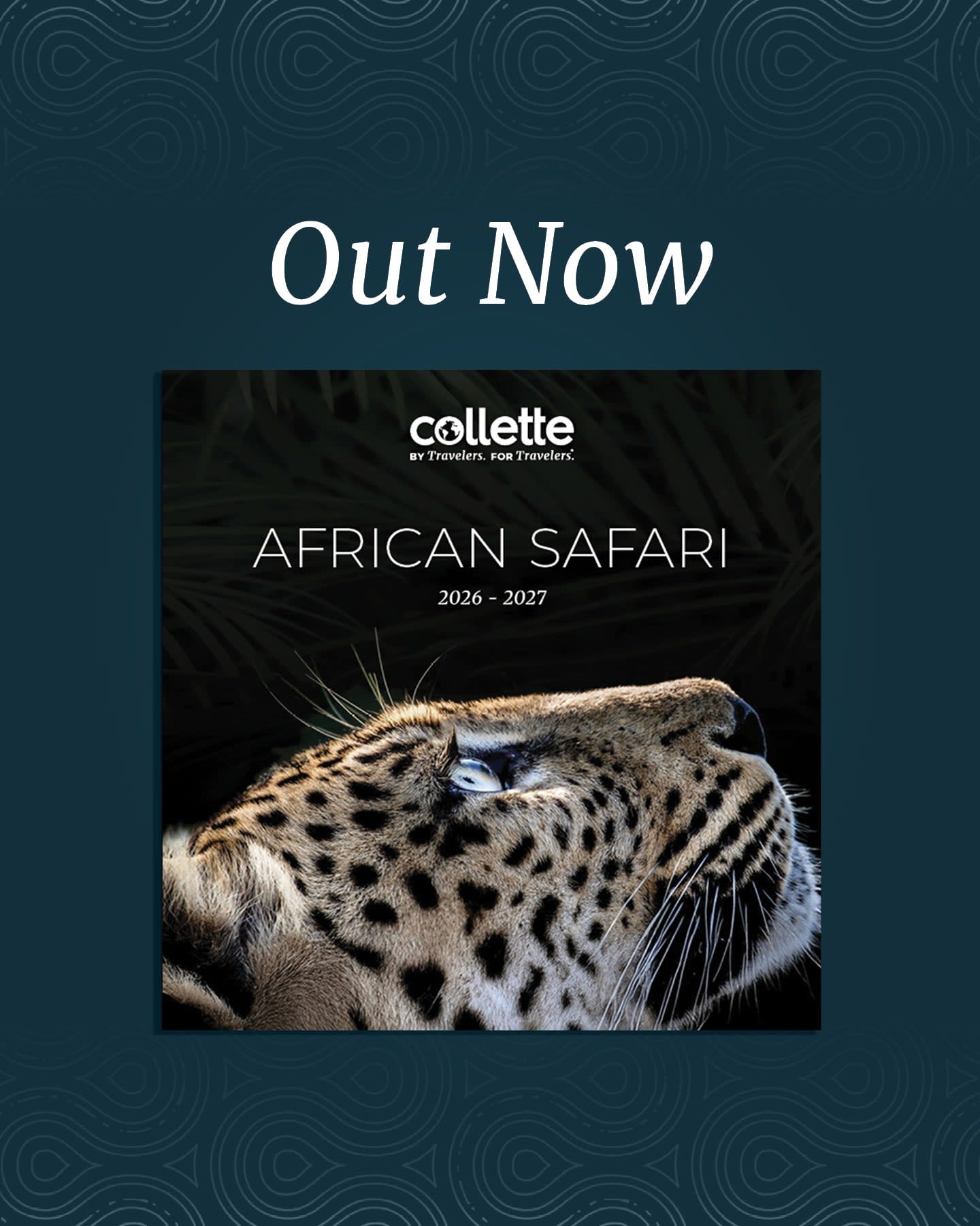 An African safari is a trip worth doing right the first time. I love Collette’s safaris because they balance incredible wildlife viewing with unique stays, cultural experiences, and insider access.Download the brochure today and let’s start planning your dream safari!Contact me for more details (407) 569-7040#Time2BoardTravel #Time2Board