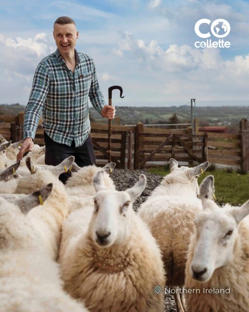 Immerse yourself in the culture, connect with locals, and explore the British Isles with Collette, the experts in guided travel.Contact me to get Collette's latest brochure featuring the British Isles or learn more about their 170+ tours worldwide.#Time2BoardTravel #Time2Board